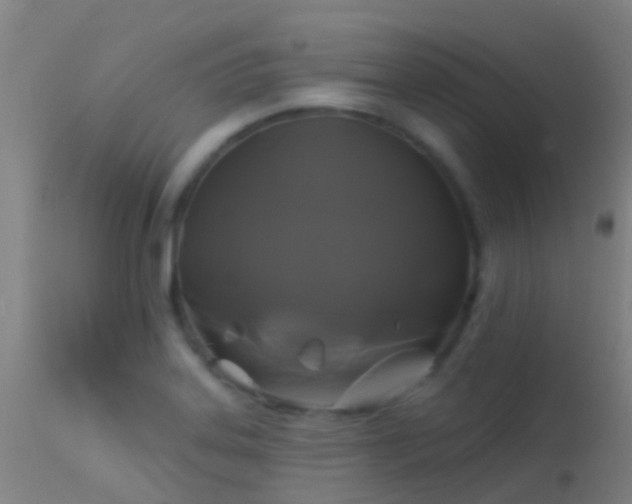 X0000114181323200910151651