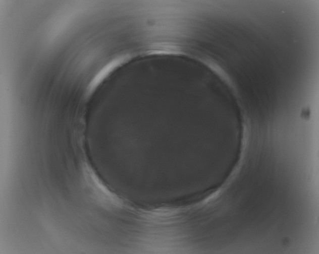 X0000114181325200910151651