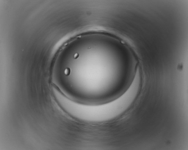 X0000114181326200910151651