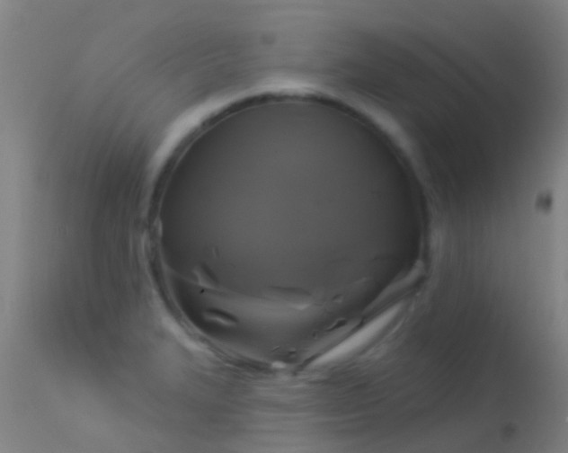 X0000114181327200910151651