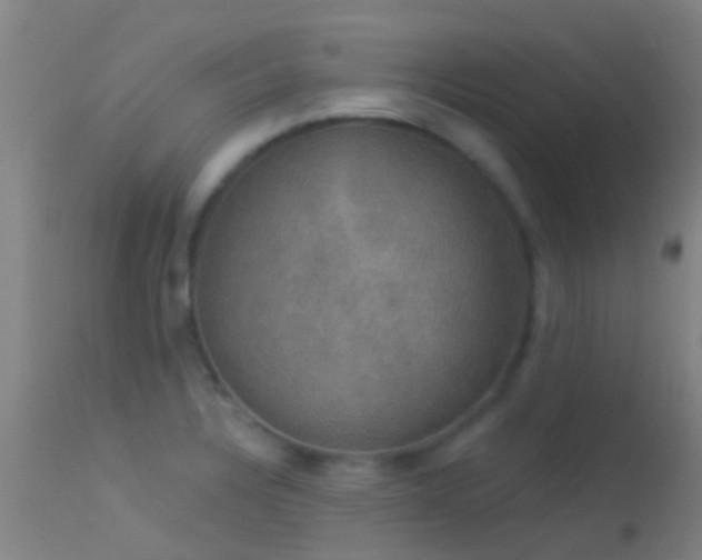 X0000114181328200910151651