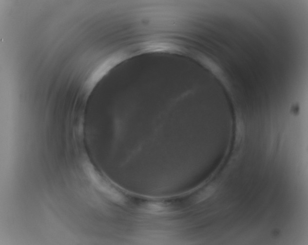 X0000114181330200910151651