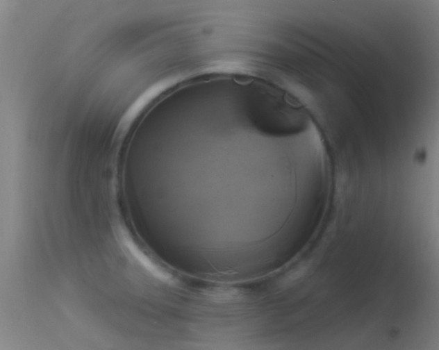 X0000114181331200910151651