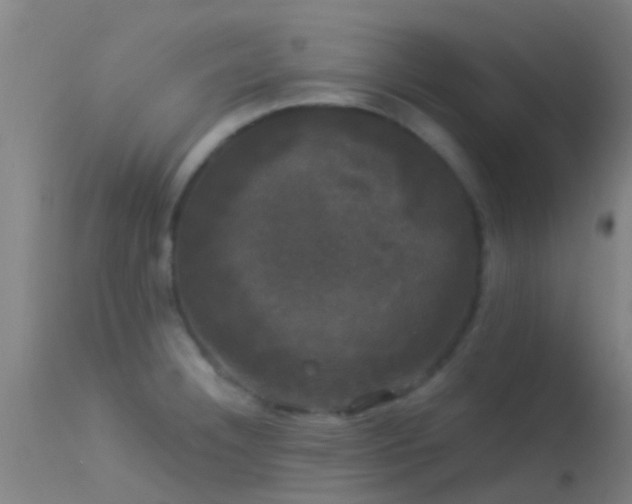 X0000114181332200910151651