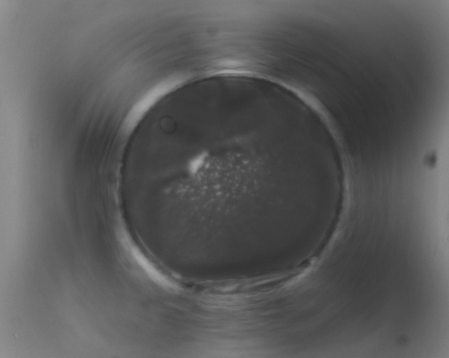 X0000114181333200910151651