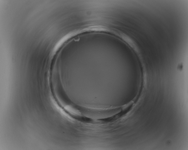 X0000114181334200910151651