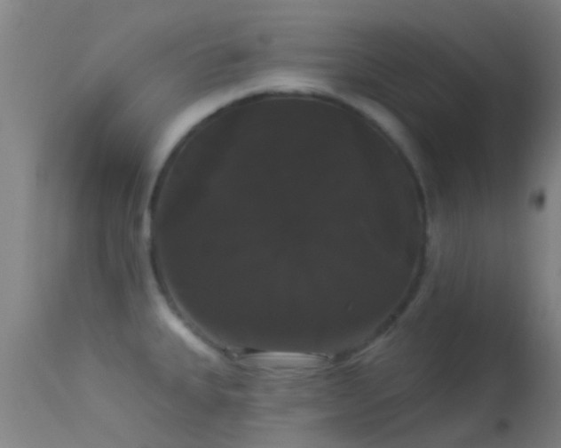 X0000114181335200910151651
