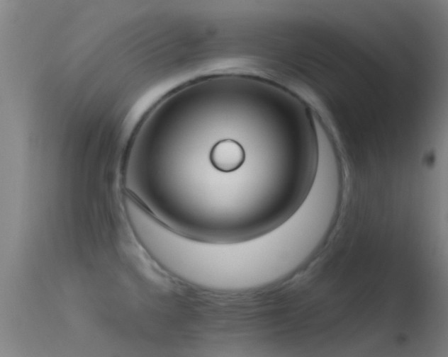 X0000114181336200910151651