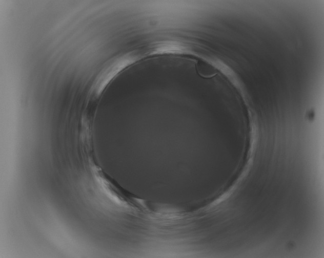 X0000114181337200910151651