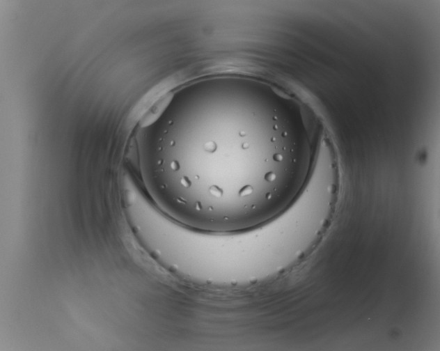X0000114181338200910151651