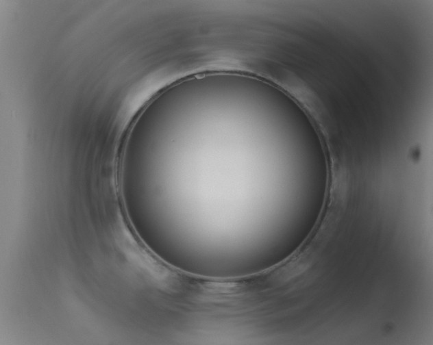 X0000114181342200910151651