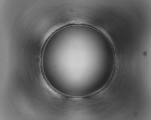 X0000114181343200910151651