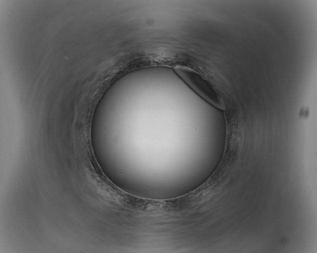 X0000114181345200910151651
