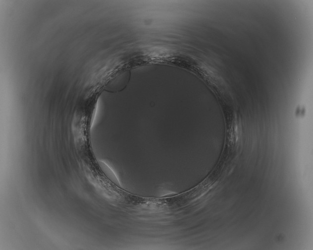 X0000114181346200910151651