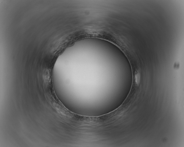 X0000114181347200910151651