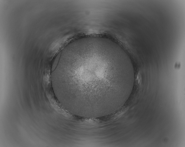 X0000114181348200910151651