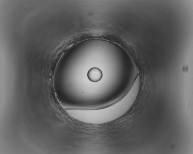 X0000114181349200910151651