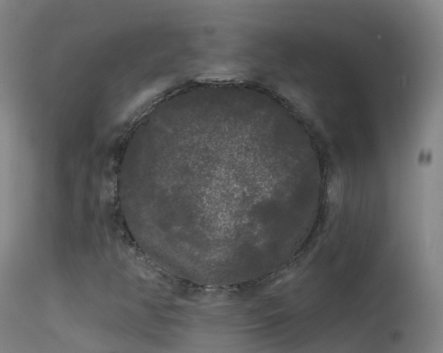 X0000114181350200910151651