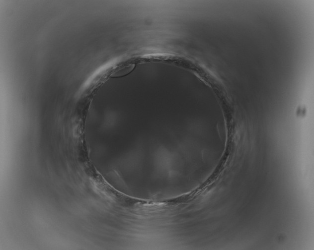X0000114181351200910151651