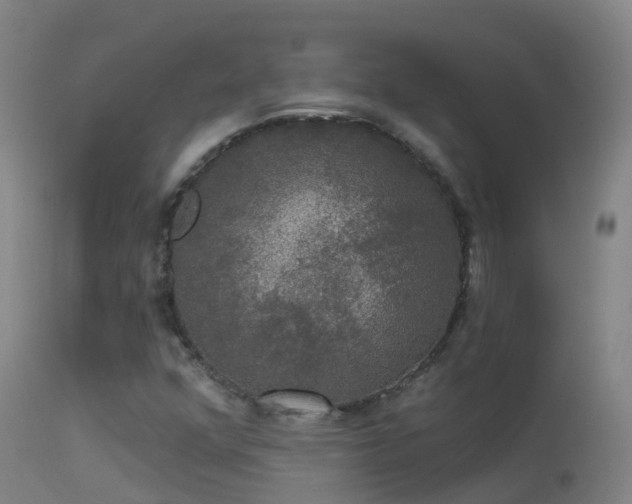 X0000114181352200910151651