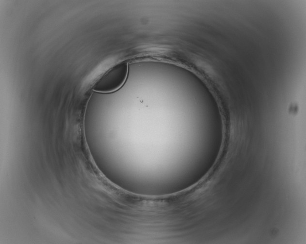 X0000114181354200910151651