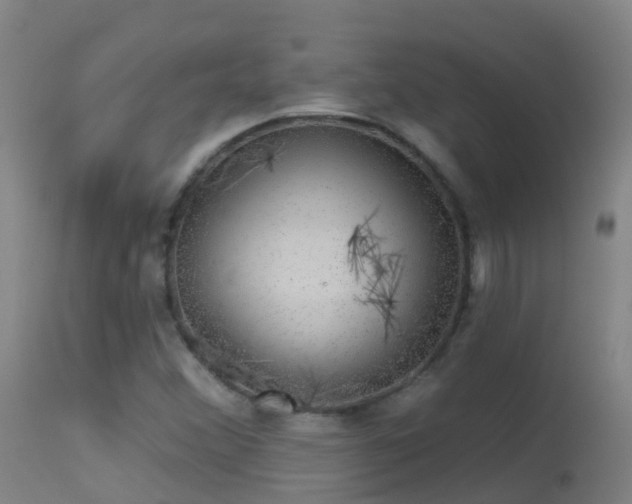 X0000114181356200910151650