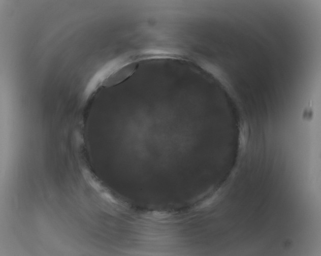 X0000114181357200910151650