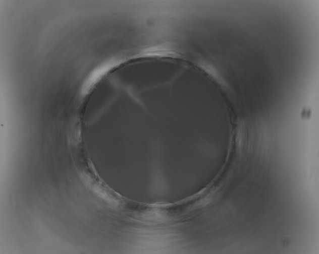 X0000114181358200910151650