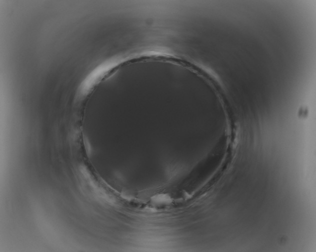 X0000114181359200910151650