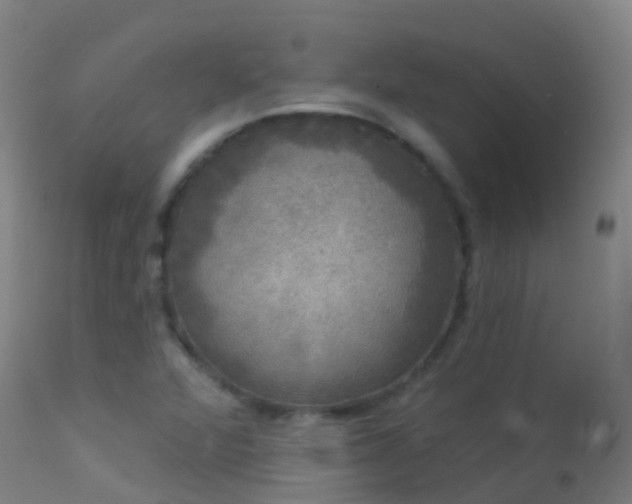 X0000114181360200910151650