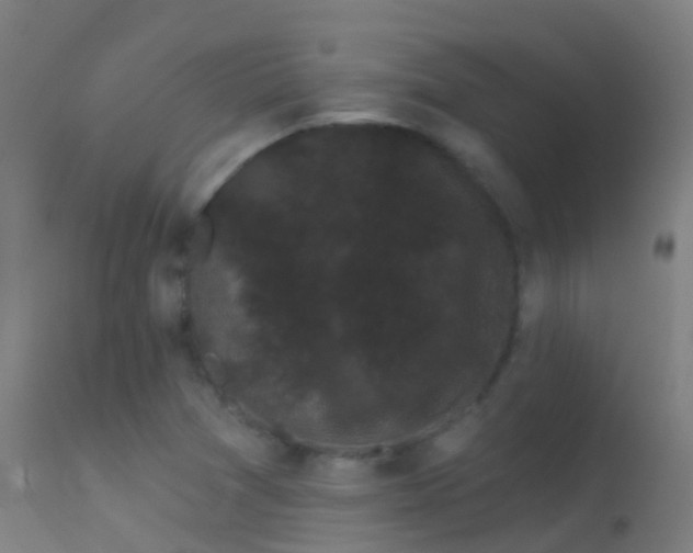 X0000114181361200910151650