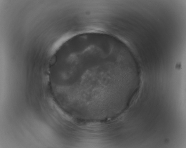 X0000114181363200910151650