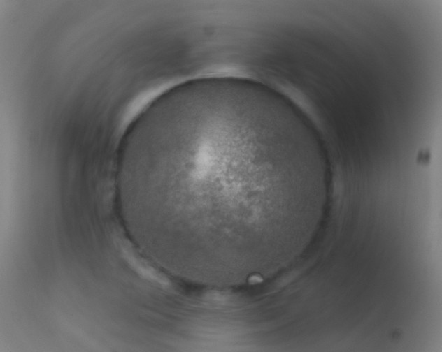 X0000114181364200910151650