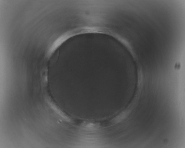 X0000114181365200910151650