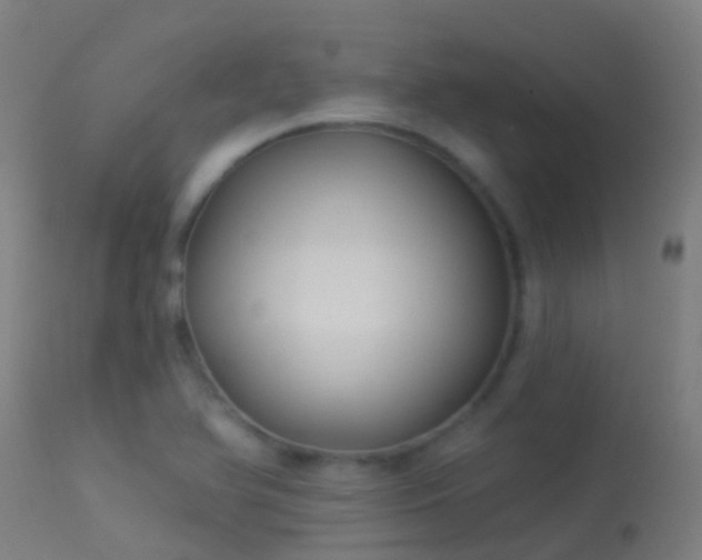 X0000114181366200910151650
