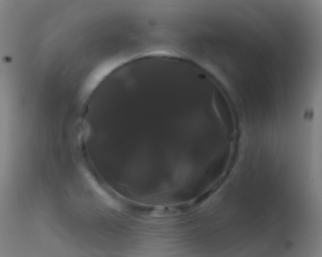 X0000114181367200910151650