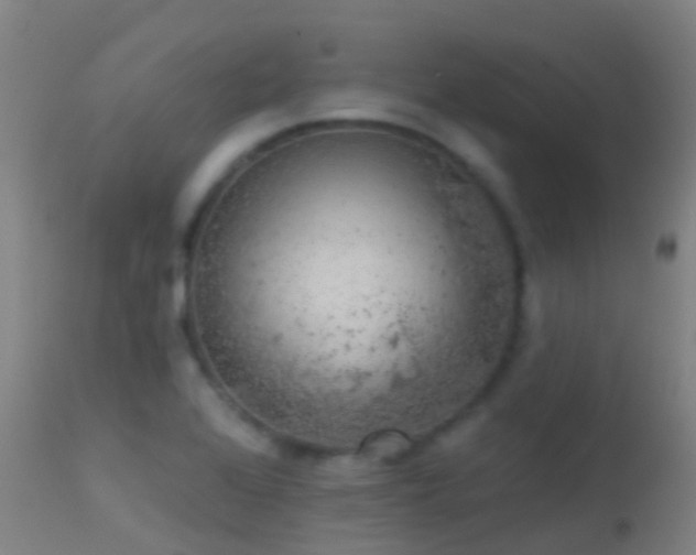 X0000114181368200910151650