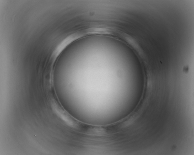 X0000114181370200910151650