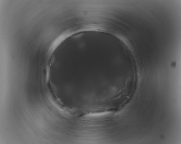 X0000114181371200910151650
