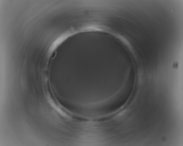 X0000114181373200910151650