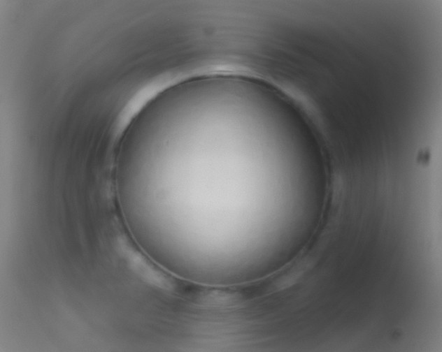 X0000114181374200910151650