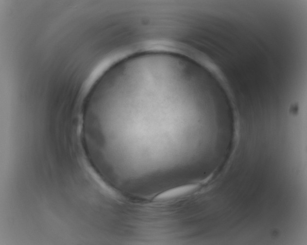 X0000114181376200910151650
