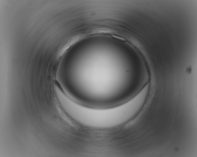 X0000114181377200910151650