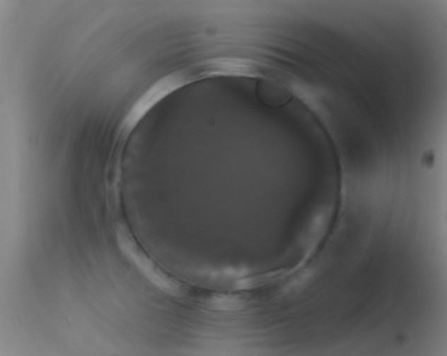 X0000114181378200910151650