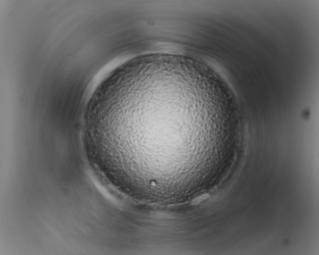 X0000114181379200910151650
