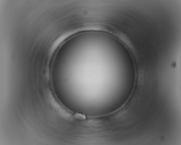 X0000114181380200910151650