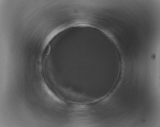 X0000114181382200910151650