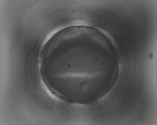 X0000114181383200910151650