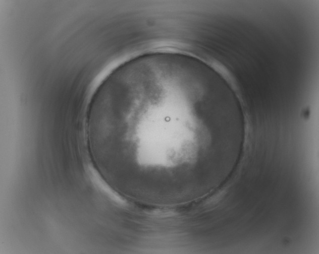X0000114181384200910151650