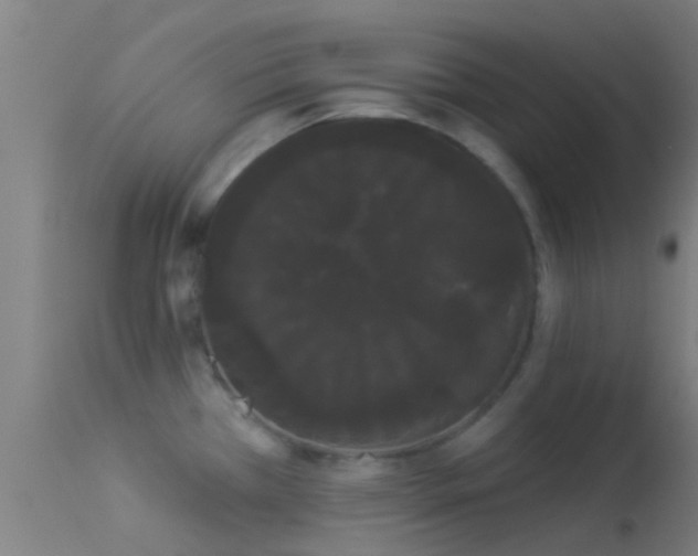 X0000114181385200910151650